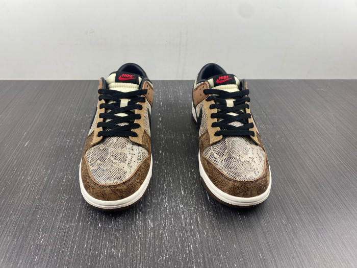 Nike Dunk Low CO.JP FJ5434-120