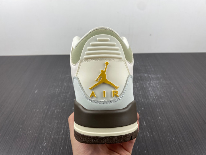 Air Jordan 3 Retro DX6660-800