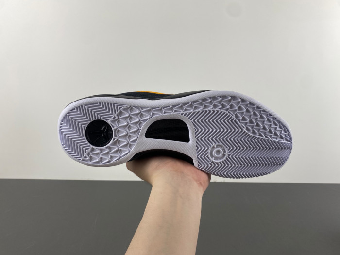 Nike Kobe 9 Protro EM "Gift of Mamba" FZ7333-001