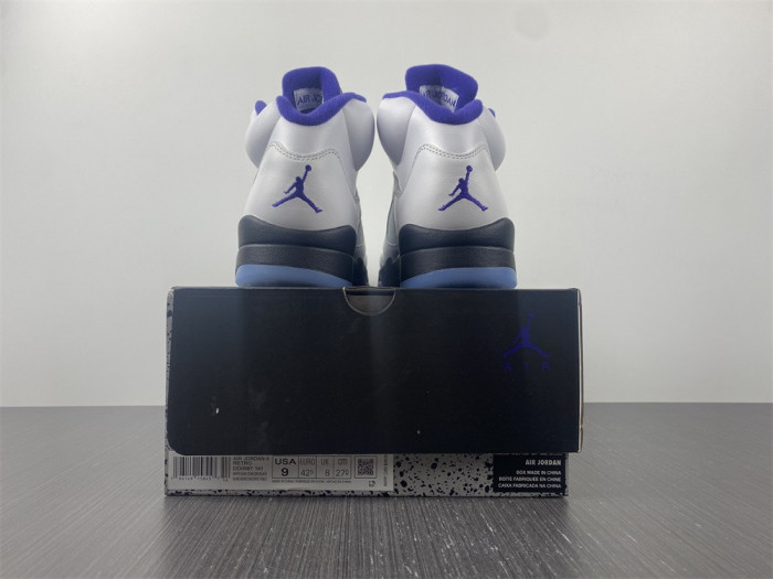 Air Jordan5 CONCORD 6666