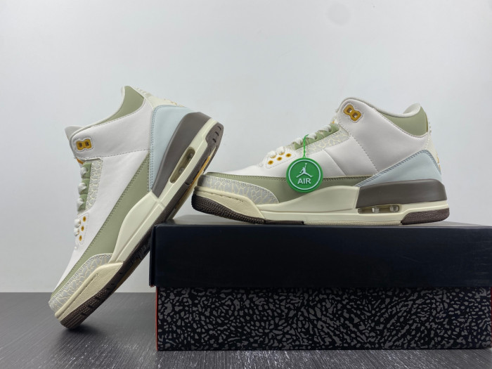 Air Jordan 3 Retro DX6660-800