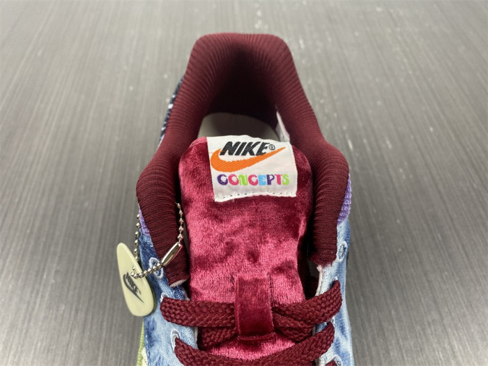 Nike Air Max 1 SP Concepts Mellow DN1803-300