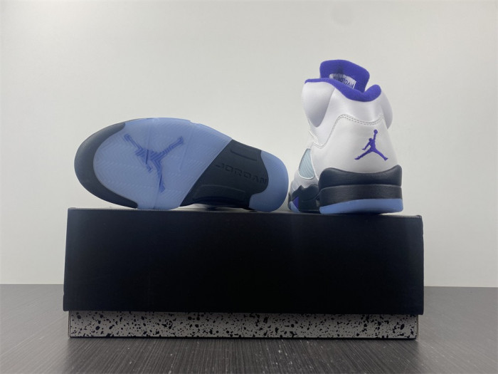 Air Jordan5 CONCORD 6666