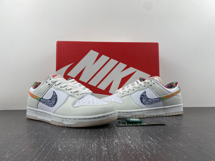 Nike Dunk Low GS Multi Paisley FN8913-141