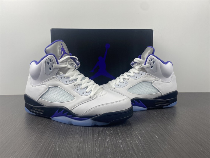 Air Jordan5 CONCORD 6666