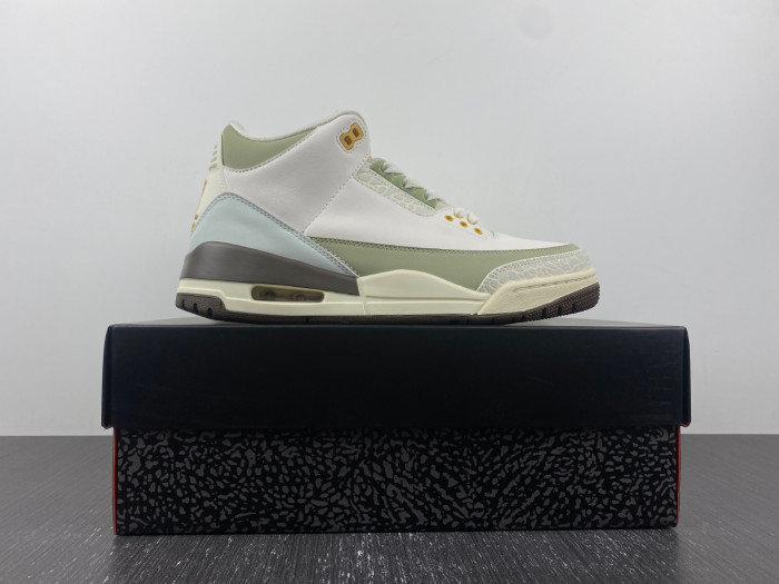 Air Jordan 3 Retro DX6660-800