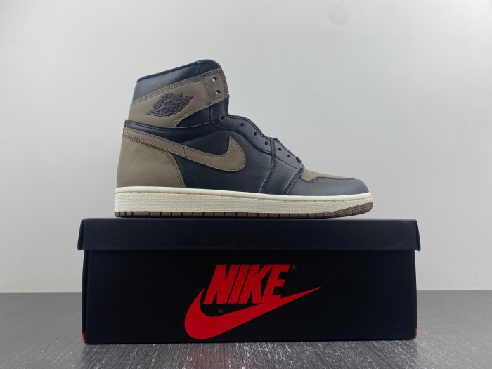 Air Jordan 1 High OG "Palomino" DZ5485-020