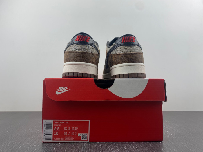 Nike Dunk Low CO.JP FJ5434-120