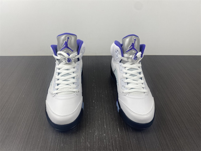 Air Jordan5 CONCORD 6666