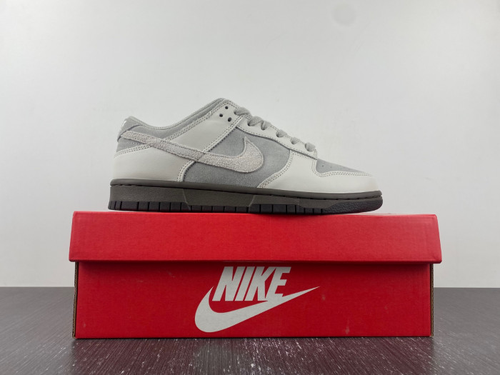 Nike Dunk Low "Ironstone" FD9746-001