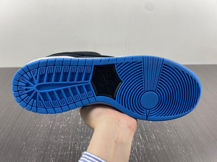 Nike SB Skateboard Dunk Low Pro Black 304292-048