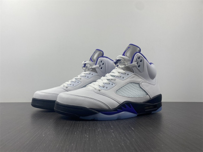 Air Jordan5 CONCORD 6666
