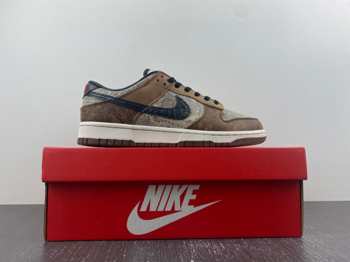 Nike Dunk Low CO.JP FJ5434-120