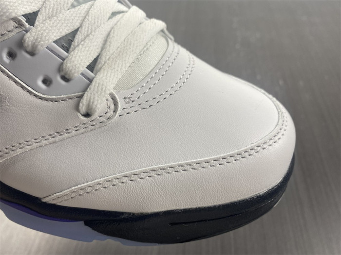 Air Jordan5 CONCORD 6666