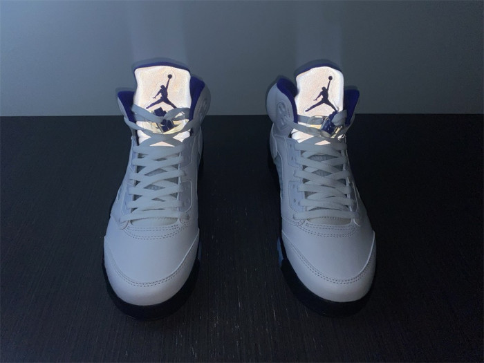 Air Jordan5 CONCORD 6666