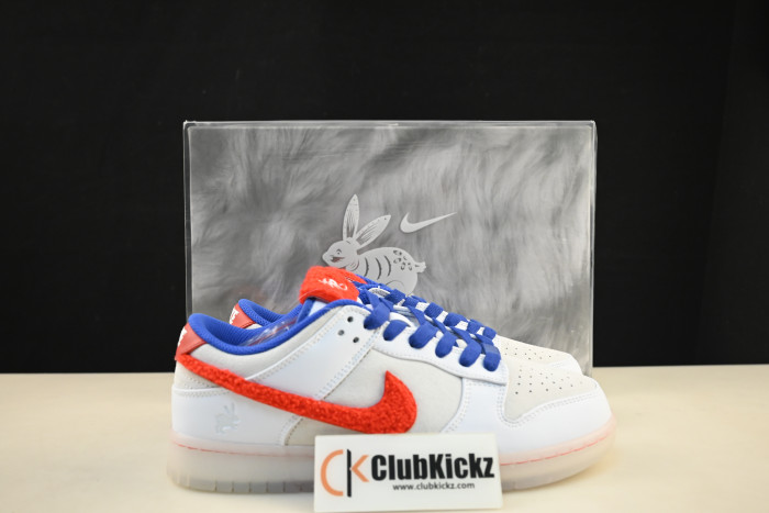 Nike Dunk Low "Year Of The Rabbit" FD4203-161