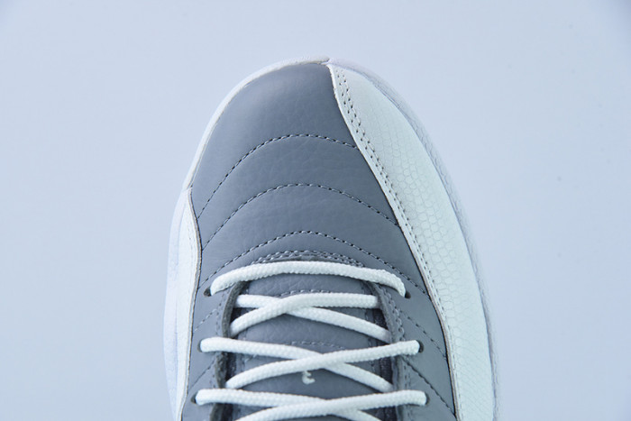 Air Jordan 12 "Stealth" CT8013-015