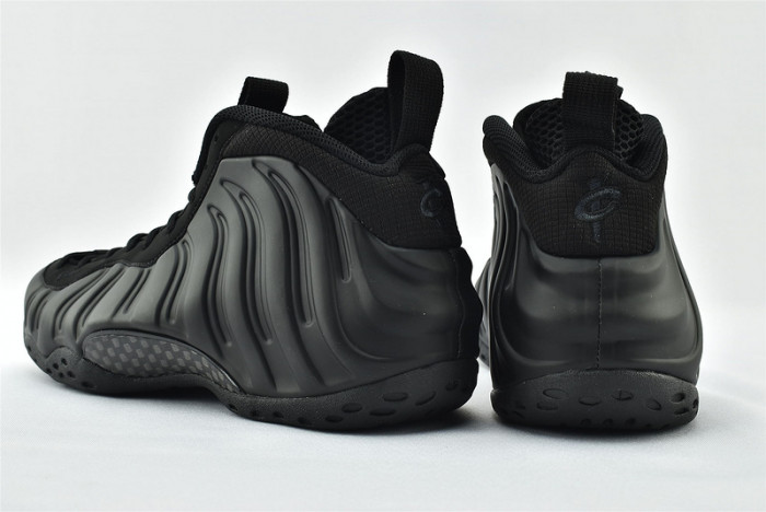 Nike Air Foamposite One Anthracite 314996-001