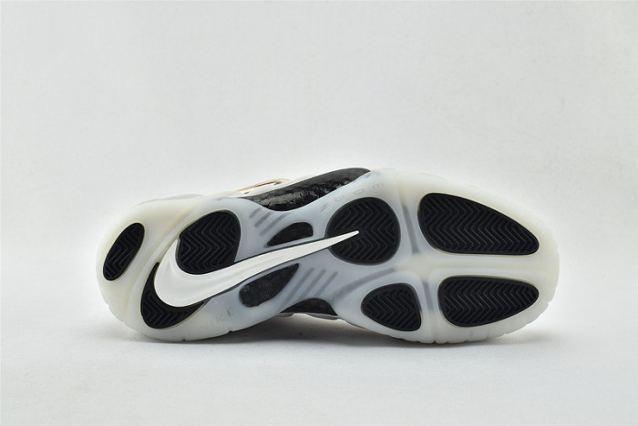 Nike Air Foamposite Pro AQ0817-001