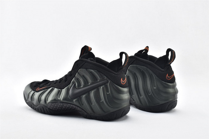 Nike Air Foamposite Pro Sequoia 624041-304