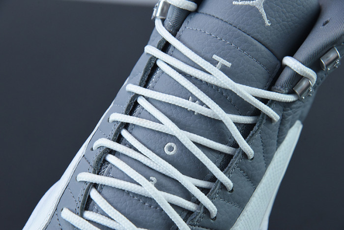 Air Jordan 12 "Stealth" CT8013-015