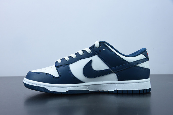 Nike Dunk Low Valerian Blue DD1391-400
