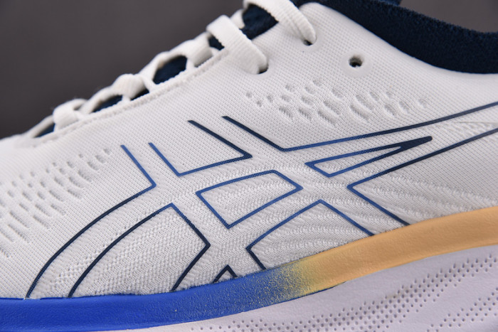 As*ic*s gel nimbus 25 