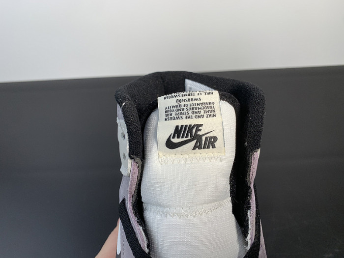 Air Jordan 1 High Element GORE-TEX 