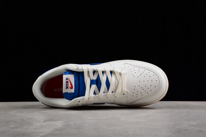 Nike Dunk Low Retro DX3198-133