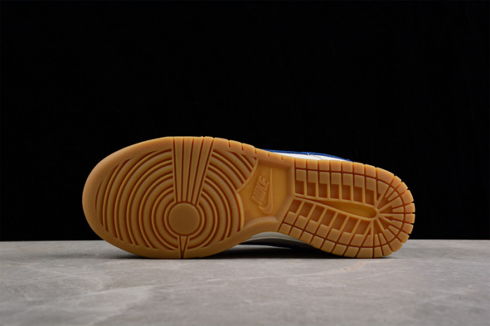 Nike Dunk Low Retro DX3198-133