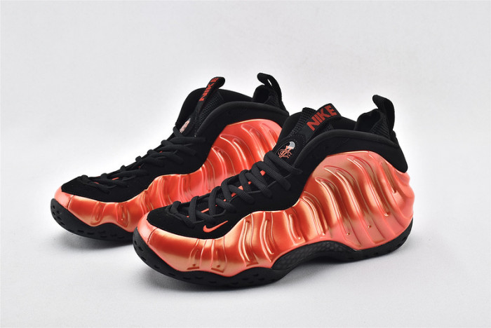 Nike Air Foamposite One 