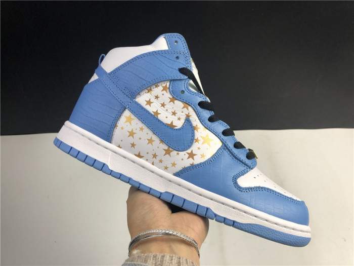 Nike SB Dunk Blue 307385-141
