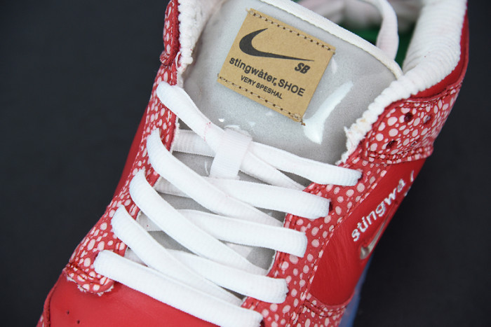 Nike Dunk Low x “Stingwater DH7650-600