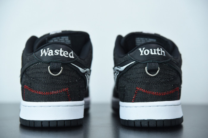 Nike Dunk Low x Wasted Youth DD8386-001