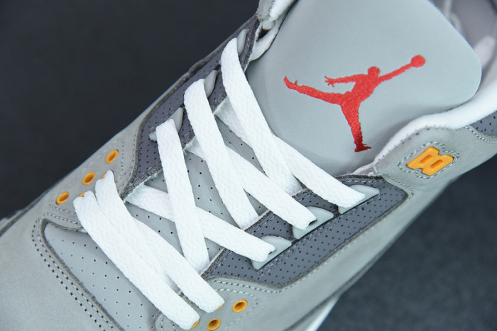 Air Jordan 3``Cool Gray