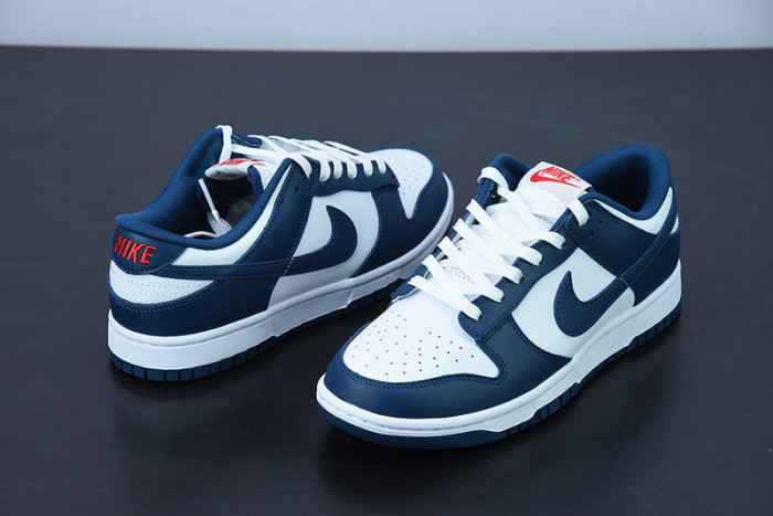 Nike Dunk Low Valerian Blue DD1391-400