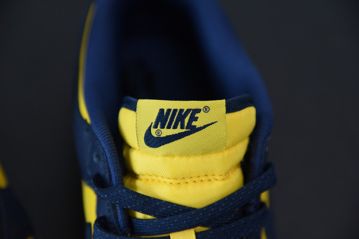 Nike Dunk Low “Michigan” DD1391-700
