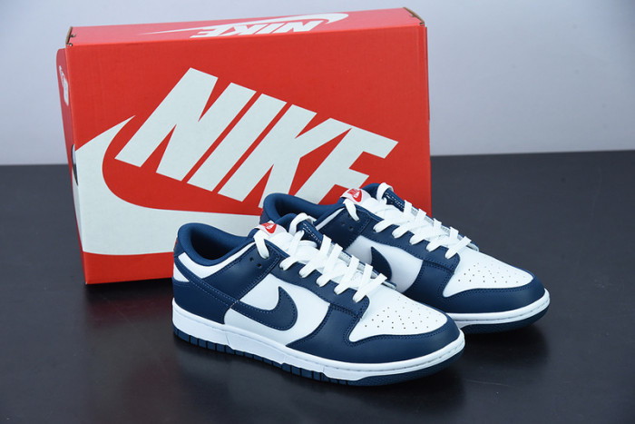 Nike Dunk Low Valerian Blue DD1391-400