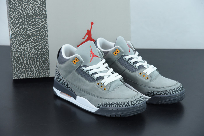 Air Jordan 3``Cool Gray