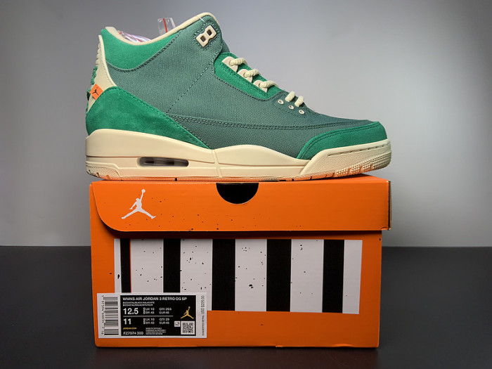 nina Ch*el abney x air jordan 3 og fz7974-300