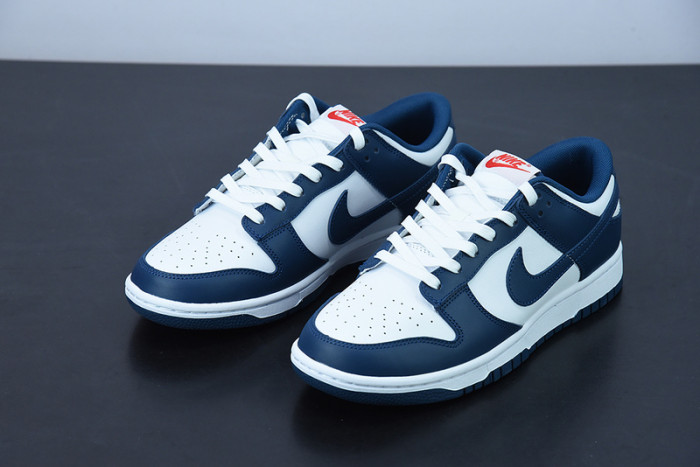 Nike Dunk Low Valerian Blue DD1391-400