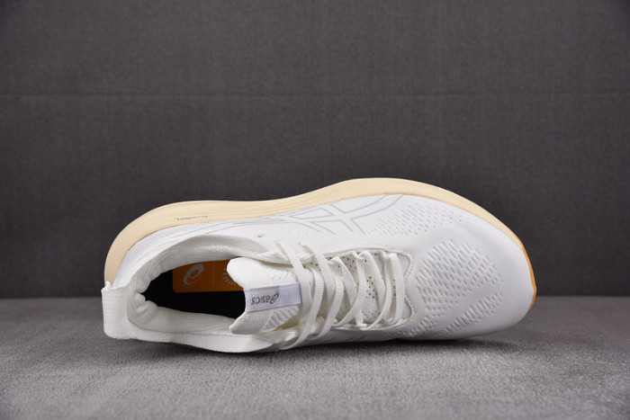 As*ic*s gel nimbus 25 