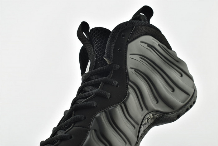 Nike Air Foamposite One Anthracite 314996-001