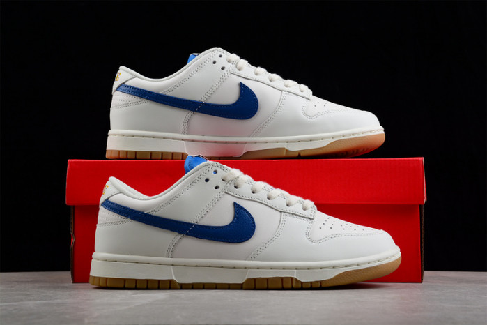Nike Dunk Low Retro DX3198-133