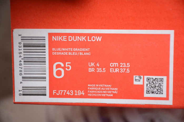 Nike Dunk Low Unlock Your Space (Women