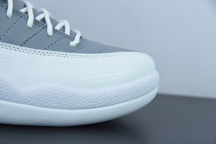 Air Jordan 12 "Stealth" CT8013-015