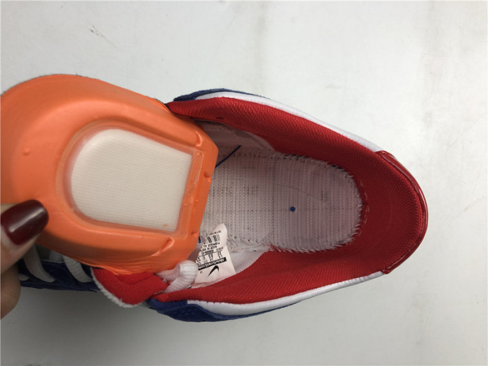 Nike Dunk SB Low Ishod Wair "BMW" 839685-416