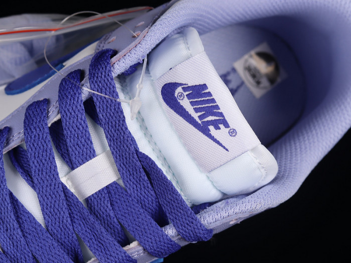 Nike Dunk Low Blueberry DZ4456-100