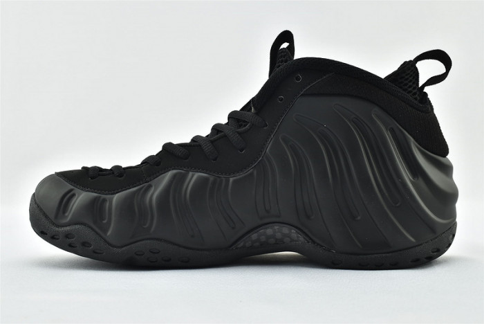 Nike Air Foamposite One Anthracite 314996-001