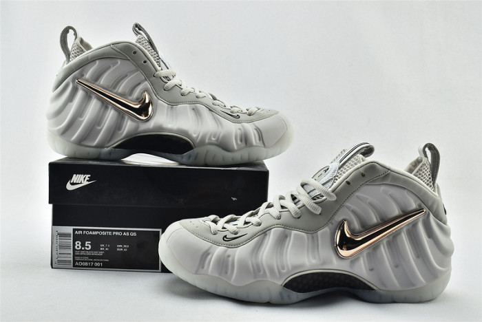 Nike Air Foamposite Pro AQ0817-001